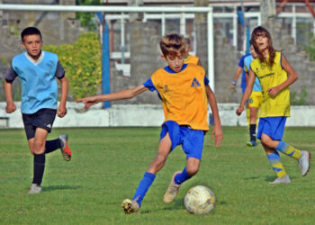 UNA LINDA OPCIÓN PARA LOS MÁS CHICOS