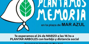 PLANTEMOS MEMORIA