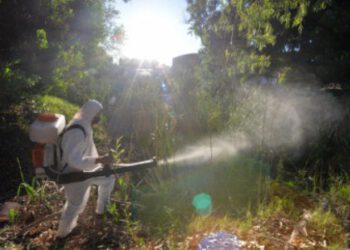 ZOONOSIS CONTINÚA CON EL PLAN DE FUMIGACIÓN