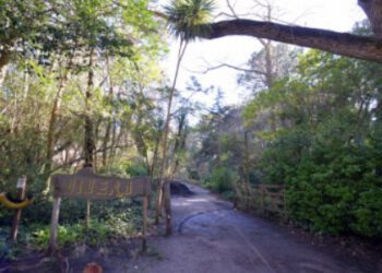 SE ABRE LA INSCRIPCIÓN A LA ENTREGA DE SEMILLAS TEMPORADA OTOÑO-INVIERNO