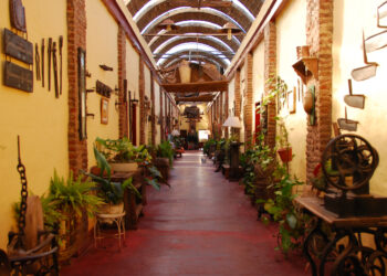 ESTANCIAS: BOLÍVAR Y EXALTACIÓN DE LA CRUZ, DOS LUGARES INOLVIDABLES