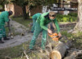VIVERO REALIZA PODA EN ALTURA