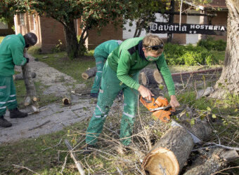 VIVERO REALIZA PODA EN ALTURA