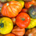 AROMAS, SABORES E IDEAS DE LA GASTRONOMÍA SOSTENIBLE