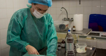 EL PLAN DE ESTERILIZACIÓN AVANZA SIN PAUSA Y YA SE SUPERARON LAS 2000 CIRUGÍAS