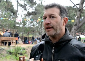 LOS NUEVOS GESELINOS