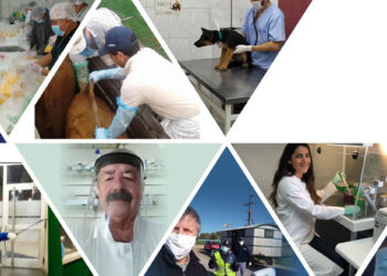 6 DE AGOSTO. DÍA DEL VETERINARIO