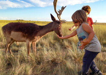 DOS DESTINOS BONAERENSES PARA DESCUBRIR A TRAVÉS DE ANÉCDOTAS, PAISAJES Y GASTRONOMÍA