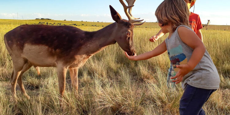 DOS DESTINOS BONAERENSES PARA DESCUBRIR A TRAVÉS DE ANÉCDOTAS, PAISAJES Y GASTRONOMÍA