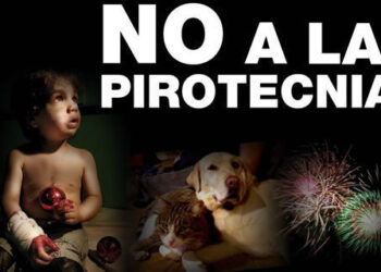 RECOMENDACIONES PARA EL COMBO DE FIN DE AÑO