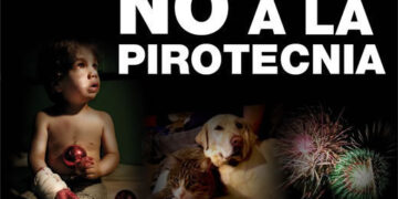 RECOMENDACIONES PARA EL COMBO DE FIN DE AÑO