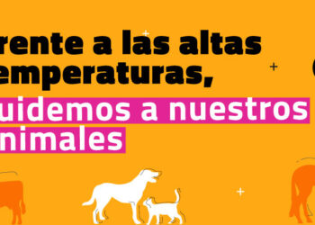 EL CALOR: UN FACTOR POCO RECONOCIDO EN EL BIENESTAR ANIMAL