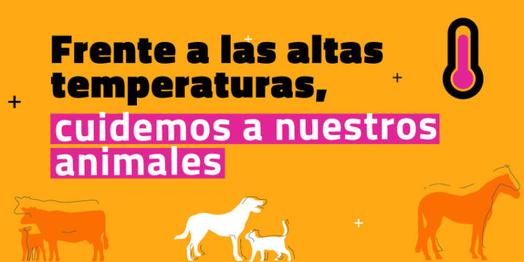 EL CALOR: UN FACTOR POCO RECONOCIDO EN EL BIENESTAR ANIMAL