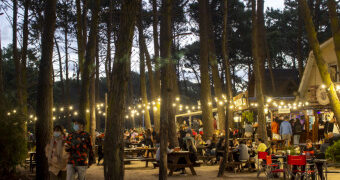 UNO DE LOS MEJORES PORCENTAJES DEL PAÍS