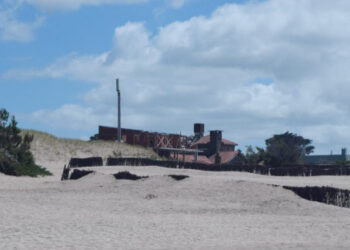 RELEVAMIENTO DON CONICET: DINÁMICAS DE LAS PLAYAS, ENQUINCHADOS Y NECESIDAD DE UNA GESTIÓN INTEGRADA COSTERA EN EL MUNICIPIO