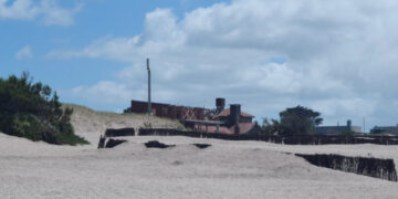 RELEVAMIENTO DON CONICET: DINÁMICAS DE LAS PLAYAS, ENQUINCHADOS Y NECESIDAD DE UNA GESTIÓN INTEGRADA COSTERA EN EL MUNICIPIO