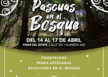 INTENSA ACTIVIDAD EN EL FERIADO DEL FIN DE SEMANA LARGO