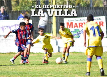 COLORIDO CLASIQUITO GESELINO