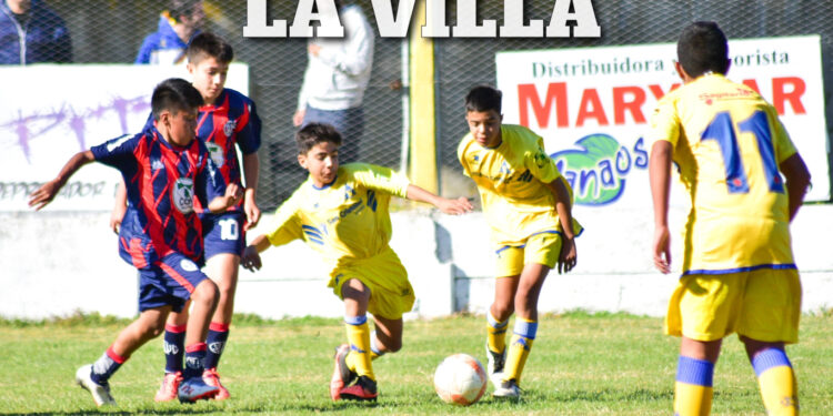 COLORIDO CLASIQUITO GESELINO