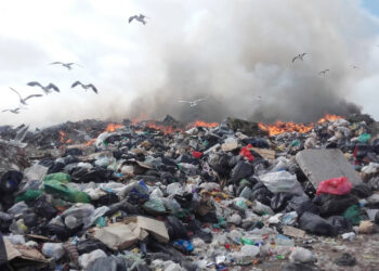 Cuando el humo es una basura