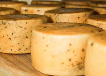 GASTRONOMÍA ATÍPICA, NATURALEZA E HISTORIA PARA UN FIN DE SEMANA ÚNICO EN LA PROVINCIA