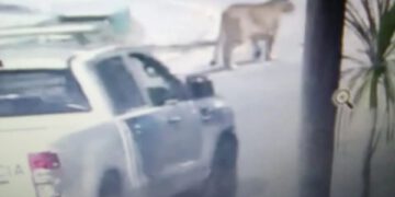 COMUNICADO DE ALERTA A LA POBLACION