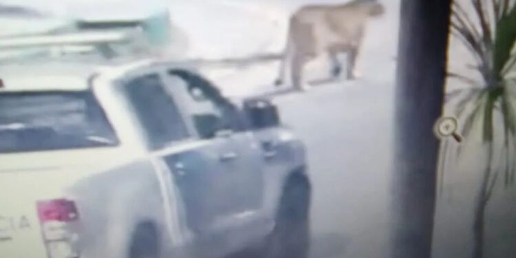 COMUNICADO DE ALERTA A LA POBLACION