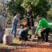 Mañana comienza la 26° fiesta de la “CHOCOGESELL”
