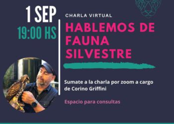 Charla sobre fauna silvestre