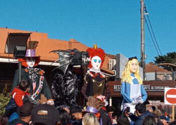 La Comunidad en acción