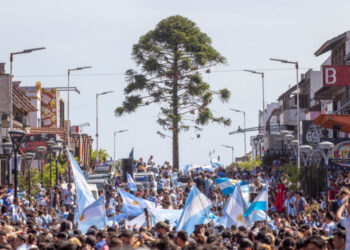 Gesell celeste y blanca
