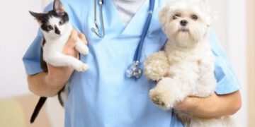 Zoonosis: esterilización 2023