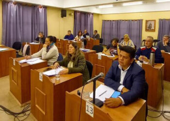 El Radicalismo votó con el Frente de Todos