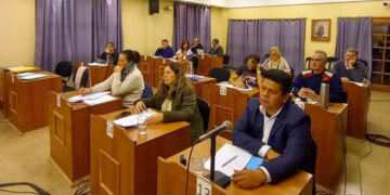 El Radicalismo votó con el Frente de Todos