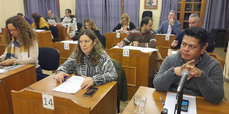 Aprobó por unanimidad repudio a los dichos de Levinas contra «Wado» de Pedro