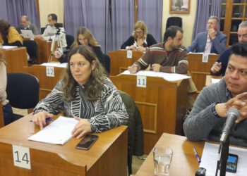 Aprobó por unanimidad repudio a los dichos de Levinas contra «Wado» de Pedro