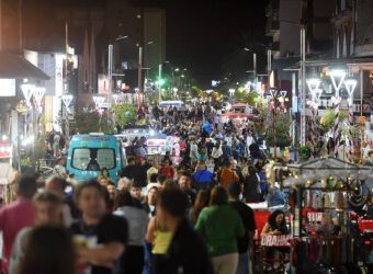 Gesell: abanico de propuestas