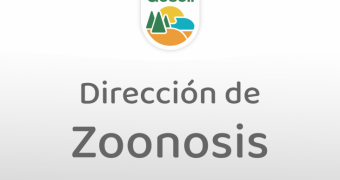 Se solicita vaciar las piletas como medida preventiva del dengue