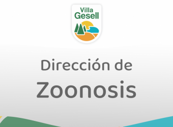 Se solicita vaciar las piletas como medida preventiva del dengue