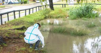Dirección de Zoonosis trabaja en desinsectación y prevención de reservorios de agua en toda la ciudad
