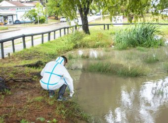 Dirección de Zoonosis trabaja en desinsectación y prevención de reservorios de agua en toda la ciudad