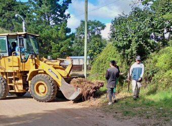 DENGUE:  limpieza y descacharreo en Paseo 100