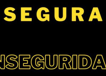 NOTA de OPINIÓN: SEGURA INSEGURIDAD