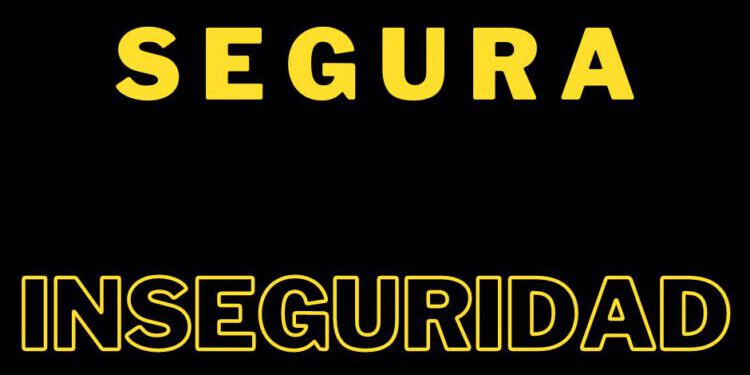 NOTA de OPINIÓN: SEGURA INSEGURIDAD