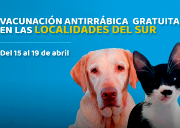 Jornadas de vacunación antirrábica en el Sur