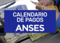 Calendario de pagos ANSES
