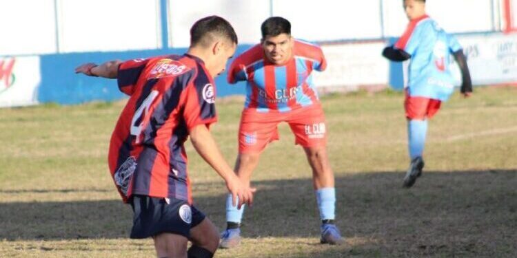 Los jueces del Apertura