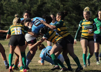 Victoria geselina por la URMDP