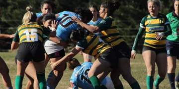 Victoria geselina por la URMDP