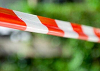 Pericia, investigación y búsqueda